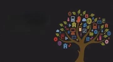 消费金融行业2024上半年业绩整体放缓，提质增效成为主趋势